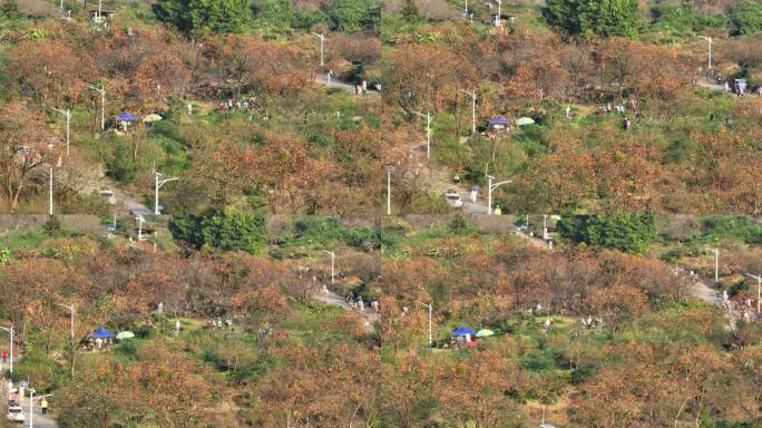 中国广东省广州市从化区吕田镇桂峰村