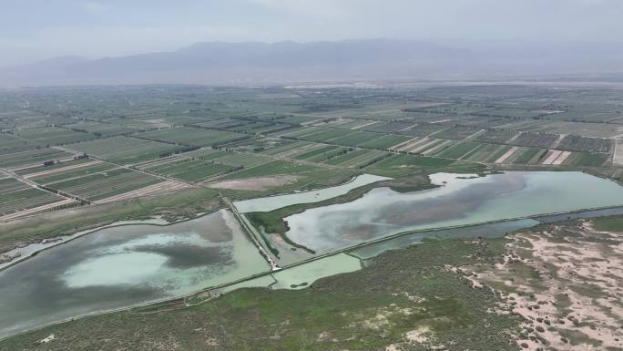 农田水利 玉米制种基地 甘肃张掖