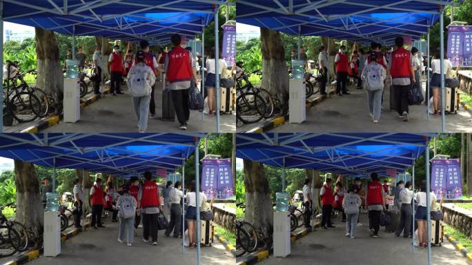 校园 大学生报道 深圳 环境 深职大