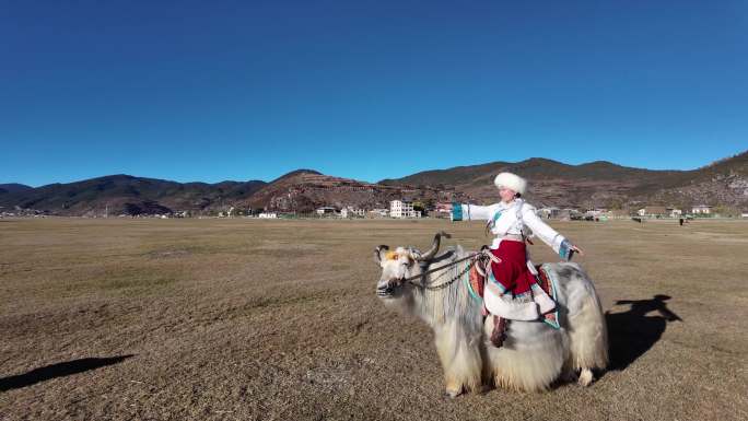 藏族女子骑牦牛