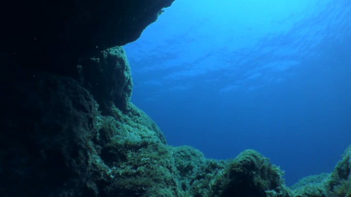 摄像机从黑暗的水下石窟进入开阔的水域。