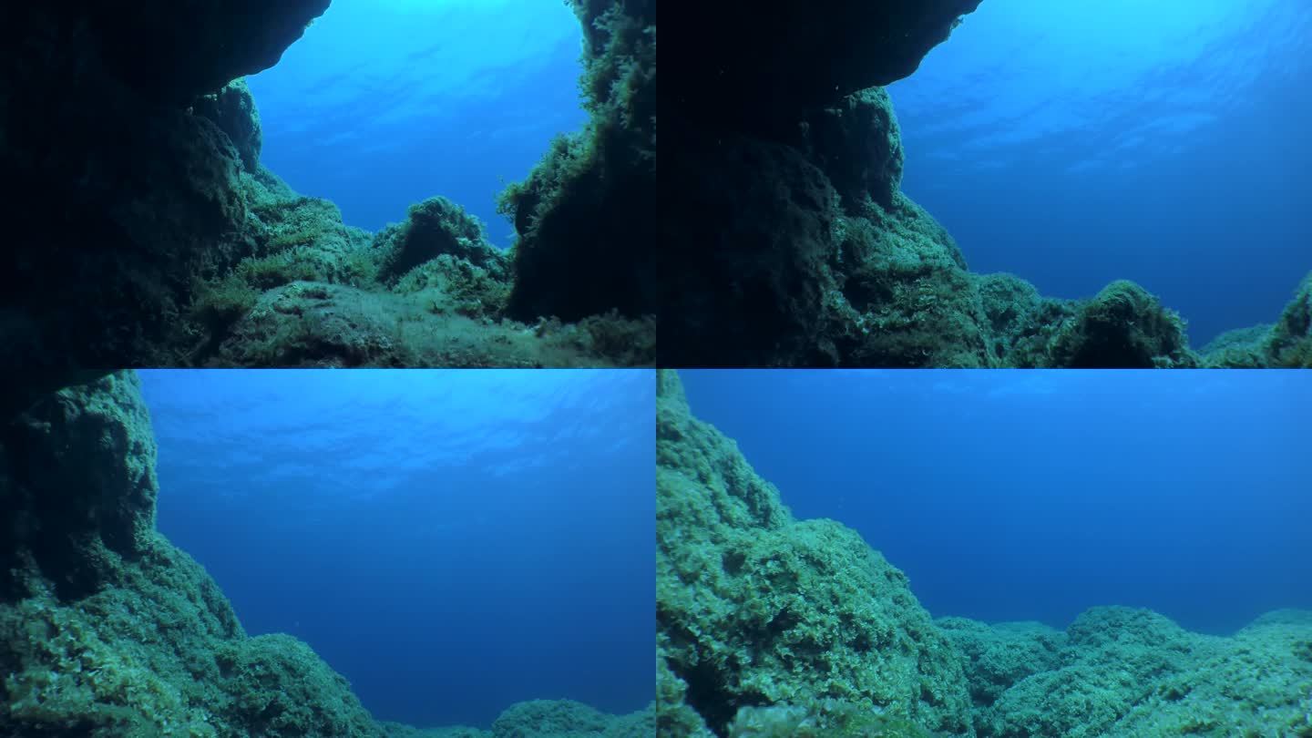 摄像机从黑暗的水下石窟进入开阔的水域。