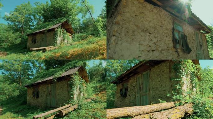 森林中废弃小屋的第一人称视角