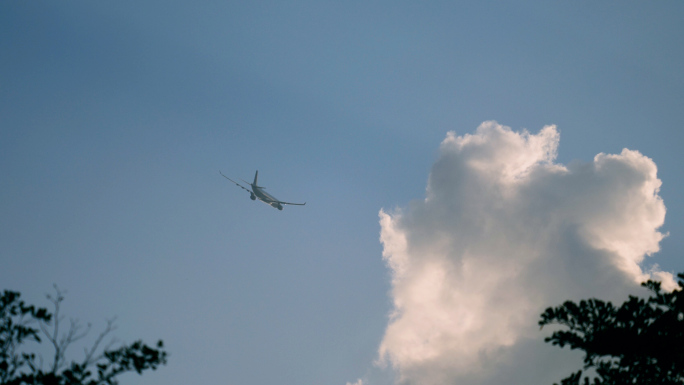 天空中的飞机飞过 飞机穿过云层树枝