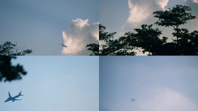 天空中的飞机飞过 飞机穿过云层树枝