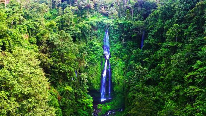 斐济瀑布在郁郁葱葱的雨林峡谷与绿色的树木。