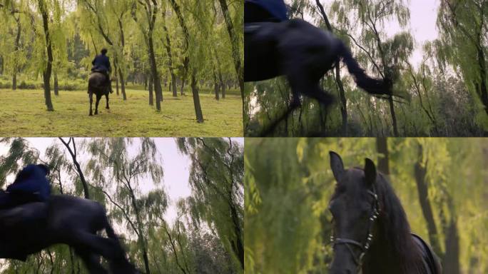 骑马穿梭树林  整体和局部特写镜头