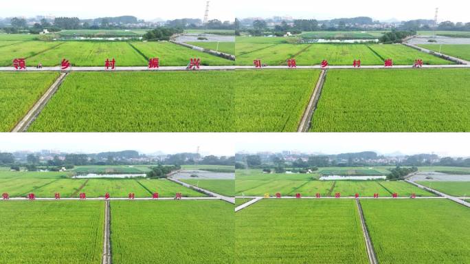 中国广州市增城区丝苗米省级现代农业产业园