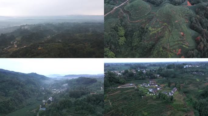 4K雅安大地指纹景点山里民宿大山四川雅安