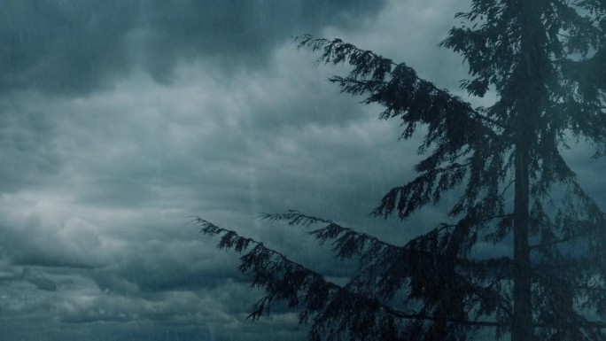 树上下着大雨，头顶乌云密布