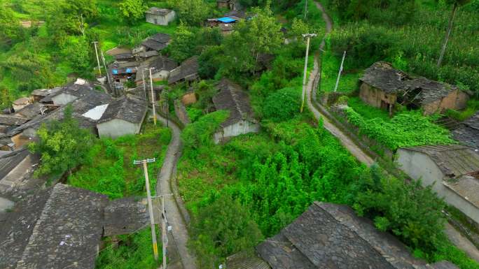 东川区汪家箐村