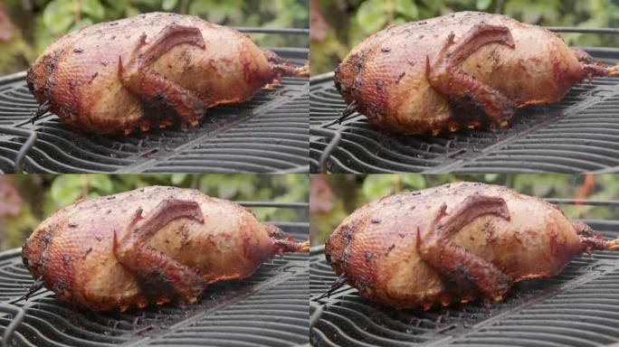 整只鸭子在室外花园的木炭烤架上的特写镜头，背景模糊