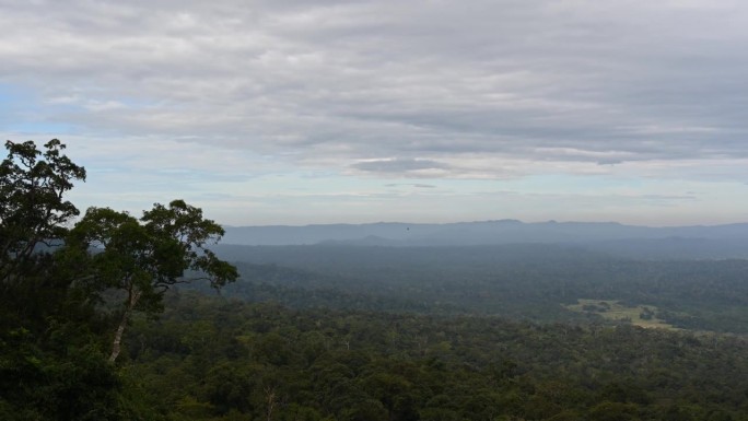 泰国考艾国家公园，当云彩移开时，镜头拉远了这片可爱的风景，镜头拉远了左边的一棵树