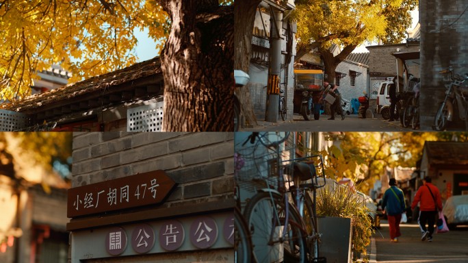 (4k实拍）北京秋天胡同 人文生活