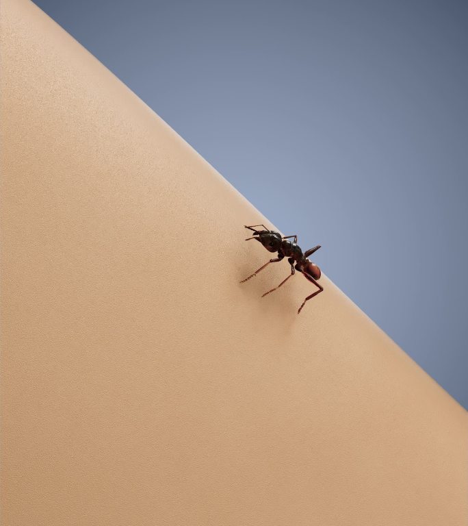 蚂蚁叮咬皮肤红肿