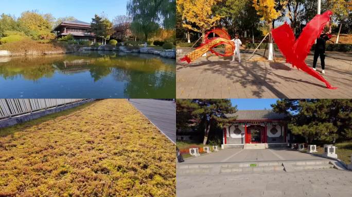 公园秋天风景黄叶红叶