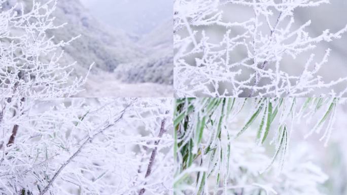 原始森林雾凇雪景大雪冬季