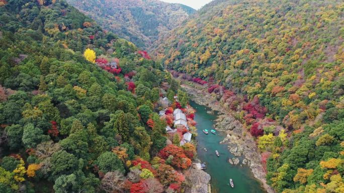 岚山的日本秋之美