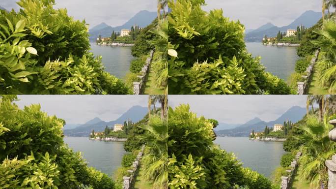 意大利科莫湖岸边公园里郁郁葱葱的绿色植物。Varenna村附近Monastero别墅植物园里的各种绿