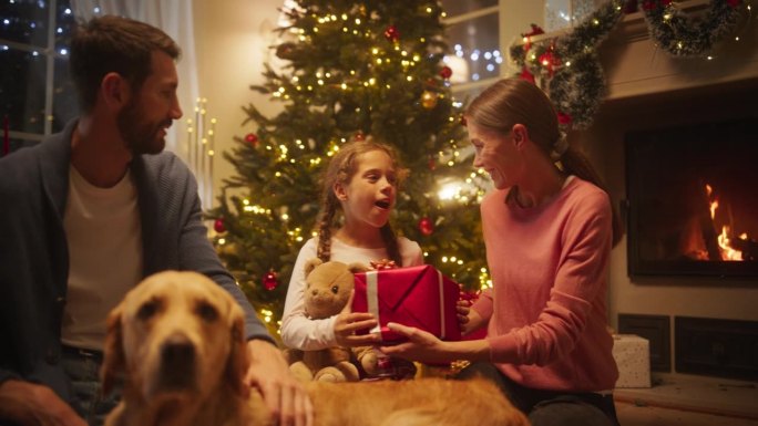 年轻的父亲和母亲给他们美丽的小女儿一个惊喜的圣诞礼物。一个成功的家庭和一只金毛猎犬坐在客厅里，还有一