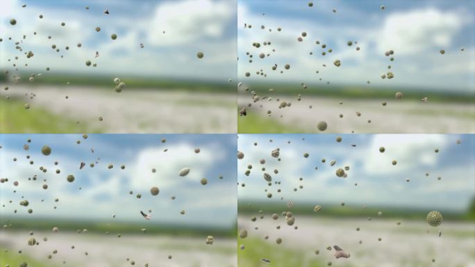花粉颗粒，可以引发过敏，在春天通过空气在草地上传播- 3d插图