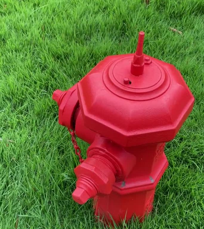 花园里的红色消防栓