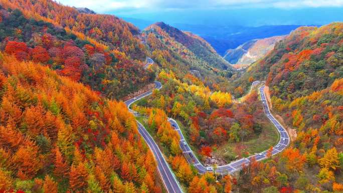 旺苍县光头山红叶