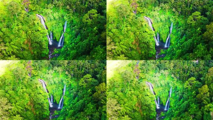 令人惊叹的斐济瀑布在巴厘岛茂密的雨林峡谷，印度尼西亚。