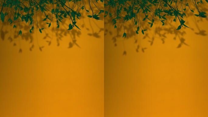 黄色墙上的树叶竖版竖屏舞台背景枝叶树枝