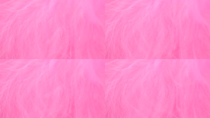 抽象温柔粉红色羽毛背景。选择性对焦，慢动作羽毛背景。宏。粉色蓬松背景