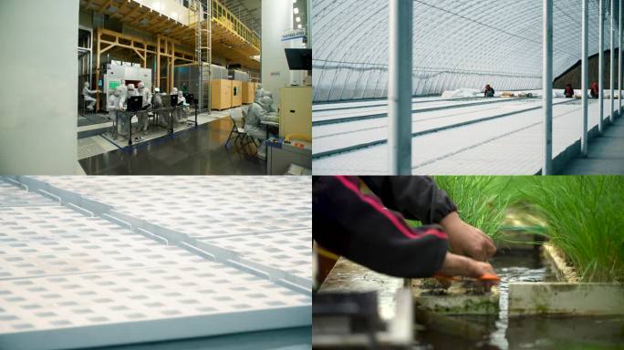 实验室 科学研究 化学试剂 科研人员