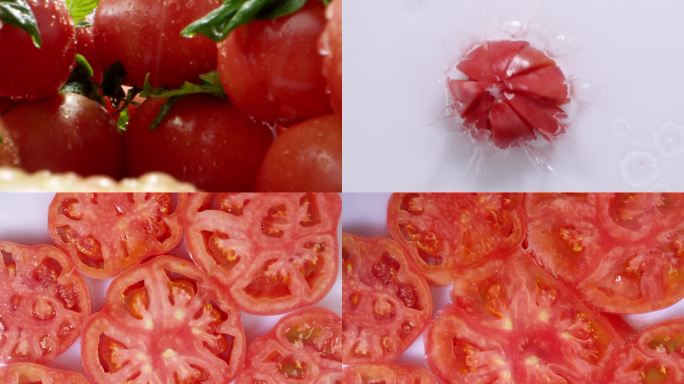 番茄 西红柿 西红柿微景观 西红柿掉落