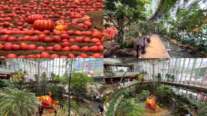 重庆光环购物公园4K