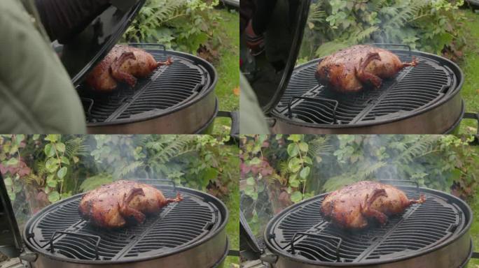 一名妇女在花园里打开木炭便携式烤架烧烤整只鸭子的特写镜头
