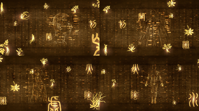 传统中医养生针灸脉络穴位线描AE视频模板