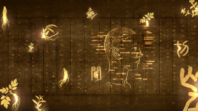 传统中医养生针灸脉络穴位线描AE视频模板