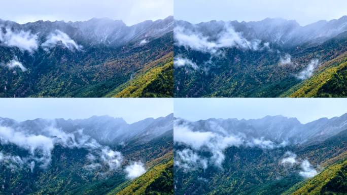 山间云雾4K