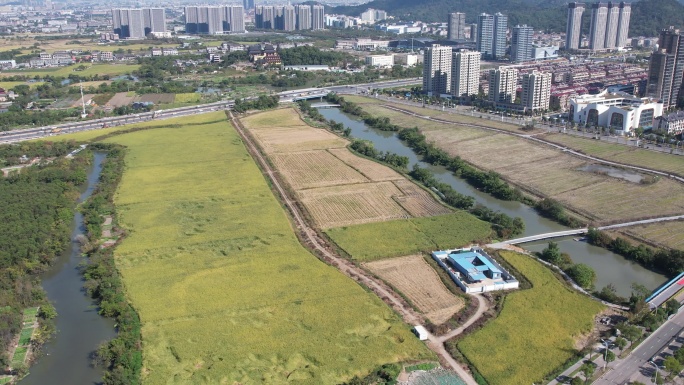 台州温岭九龙湖湿地公园航拍