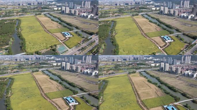 台州温岭九龙湖湿地公园航拍