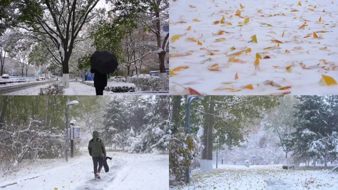 雪天落叶、行人雪天步行、雪天儿童嬉戏玩耍