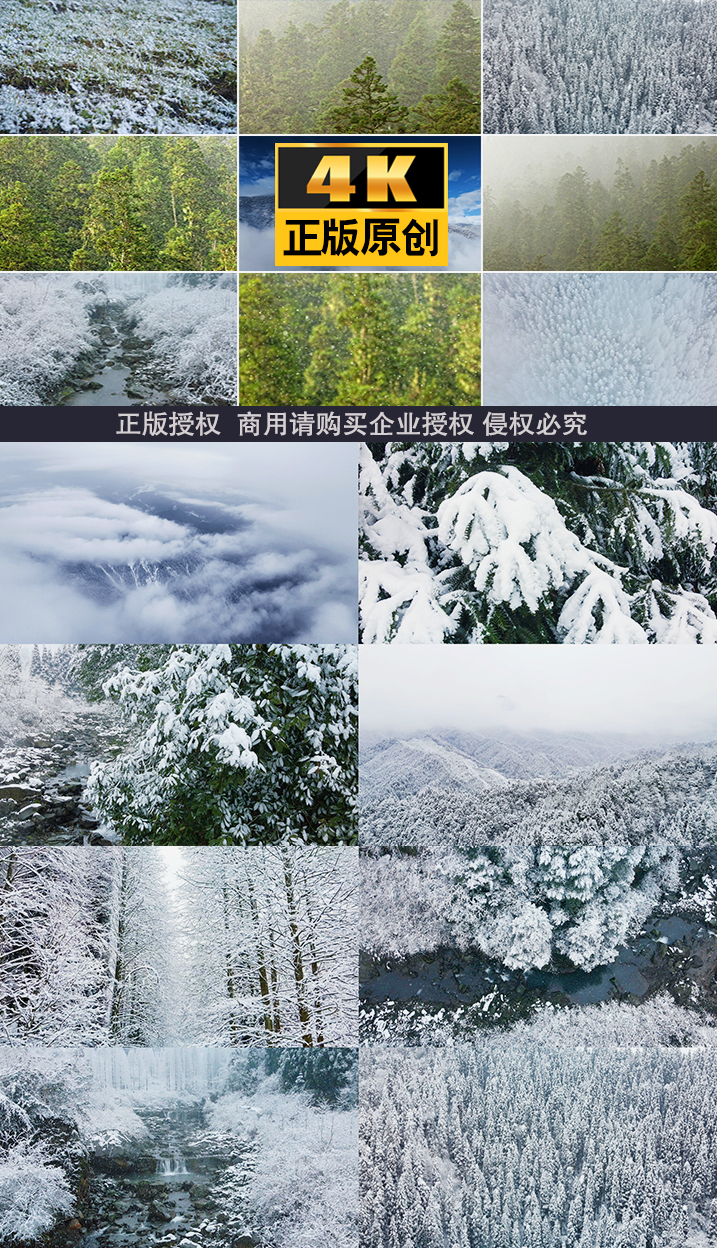 小雪大雪下雪雪立冬冬至冬天冬季冬雪景下雪