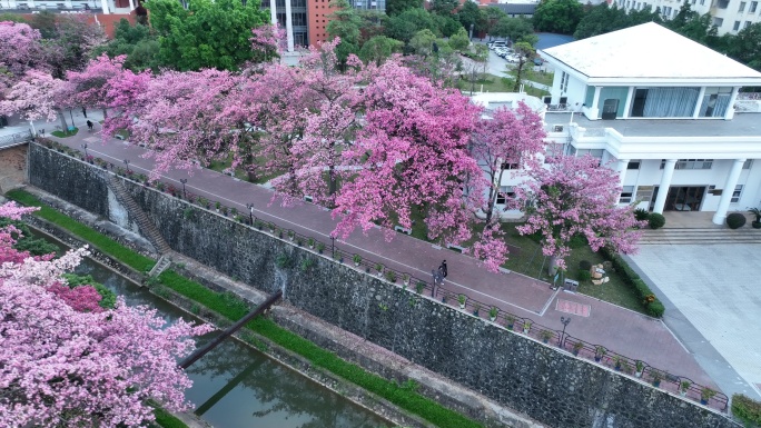 中国广东省广州市从化区华软丝木棉广场