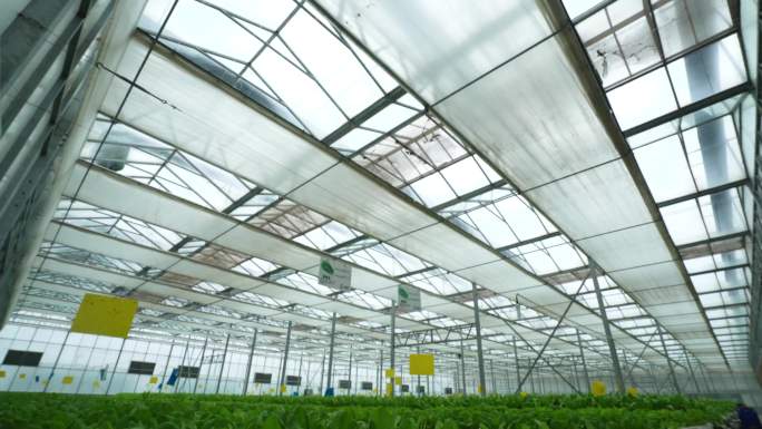 实验室 科学研究 化学试剂 科研人员