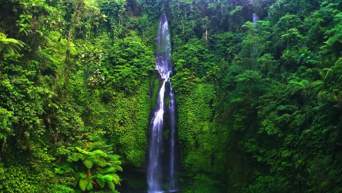 斐济瀑布从郁郁葱葱的热带雨林悬崖上倾泻而下。