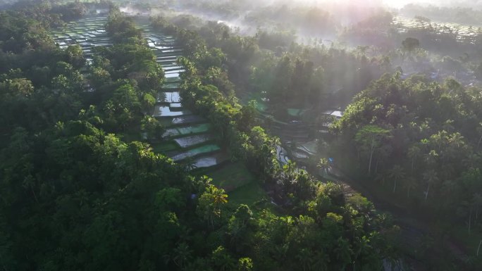 空中无人机拍摄的日出景象，位于印度尼西亚巴厘岛丛林中部的山地梯田。