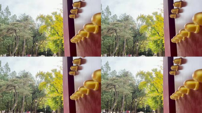 4K北京秋景地坛公园银杏门钉空镜素材二
