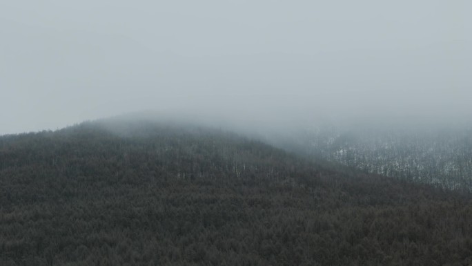 航拍雾林山景