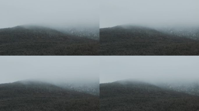 航拍雾林山景