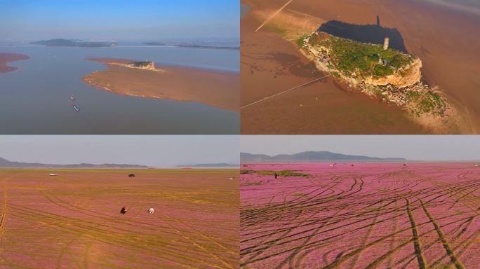 九江鞋山廖子花海