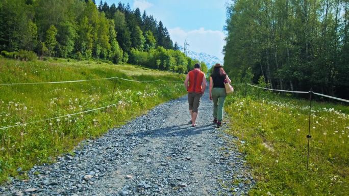 一对美丽的、无法辨认的夫妇在阿尔卑斯山山上散步。